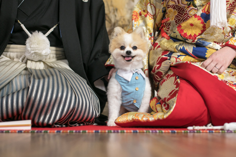 【ペットと一緒にスタジオ和装プラン】和装1点データ付き|衣装・ヘアメイク・着付け・データ約100枚