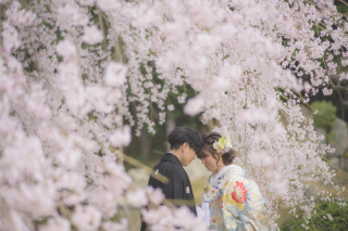 【最大5万円OFF｜和洋各1着｜桜・新緑シーズンプラン】桜・新緑ロケーション撮影+1月・2月にスタジオまたはロケーション