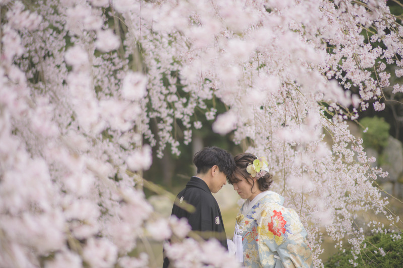 【最大5万円OFF｜和洋各1着｜桜・新緑シーズンプラン】桜・新緑ロケーション撮影+1月・2月にスタジオまたはロケーション