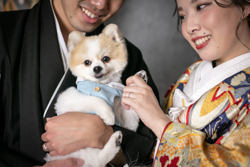 【ペットと一緒にスタジオ和装プラン】和装1点データ付き|衣装・ヘアメイク・着付け・データ約100枚