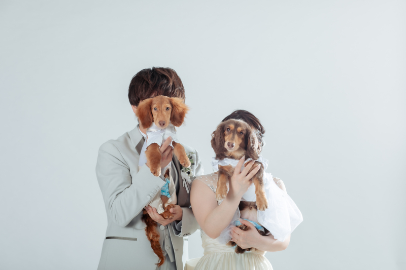 【ペットと一緒にスタジオ洋装プラン】洋装1点データ付き