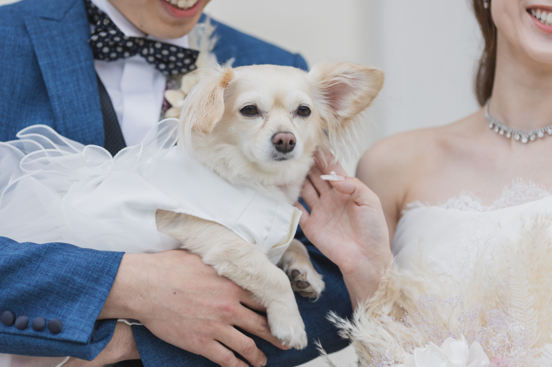 【わんちゃんも一緒に|挙式風フォトプラン】チャペルで洋装1点