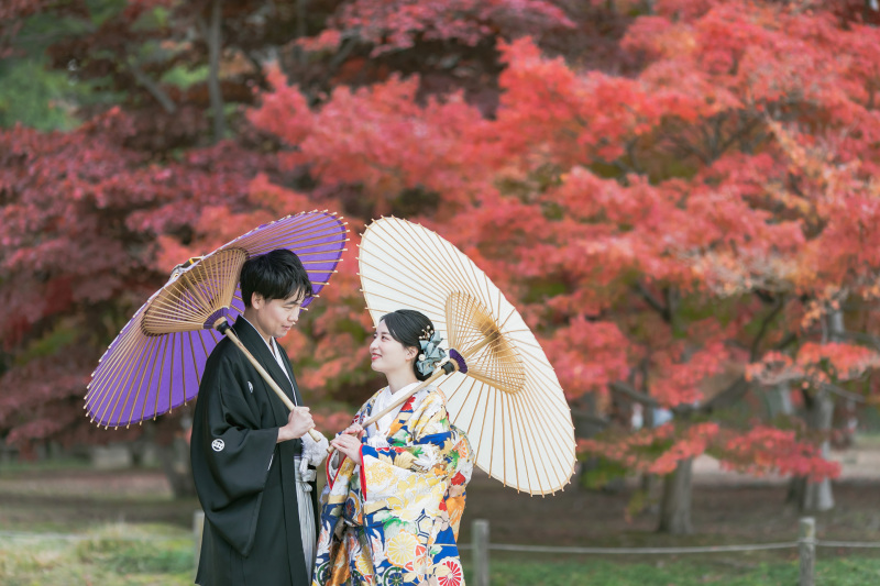 紅葉まだ間に合う！！！12月特別価格フォトウェディング
