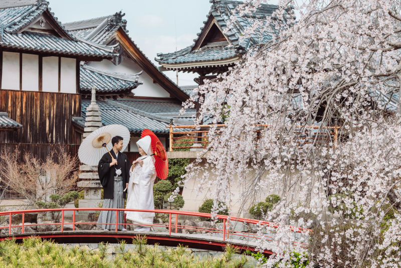 【最大5万円OFF｜和洋各1着｜桜・新緑シーズンプラン】桜・新緑ロケーション撮影+1月・2月にスタジオまたはロケーション