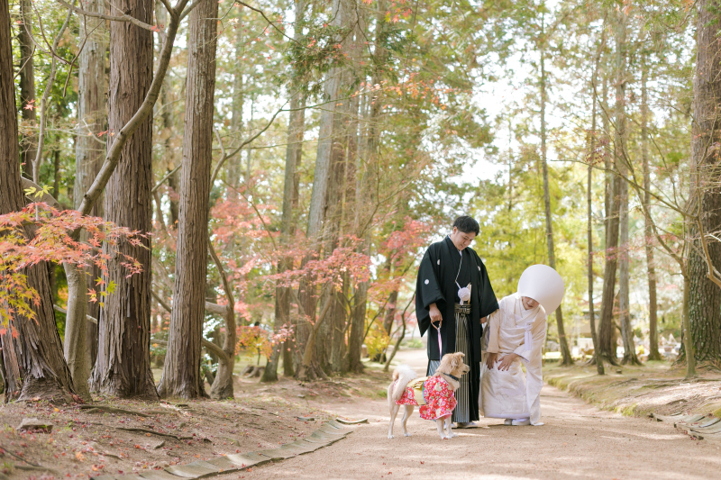 【ペットと一緒に和装洋装ロケプラン】和装洋装各1点データ付き|衣装・ヘアメイク・着付け・データ約200枚