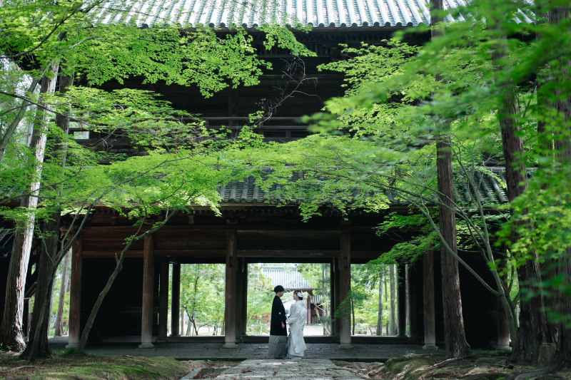 【最大5万円OFF｜新緑シーズン撮影プラン】5月撮影オトクプラン新緑ロケーション＋6月～9月にスタジオまたはロケーション