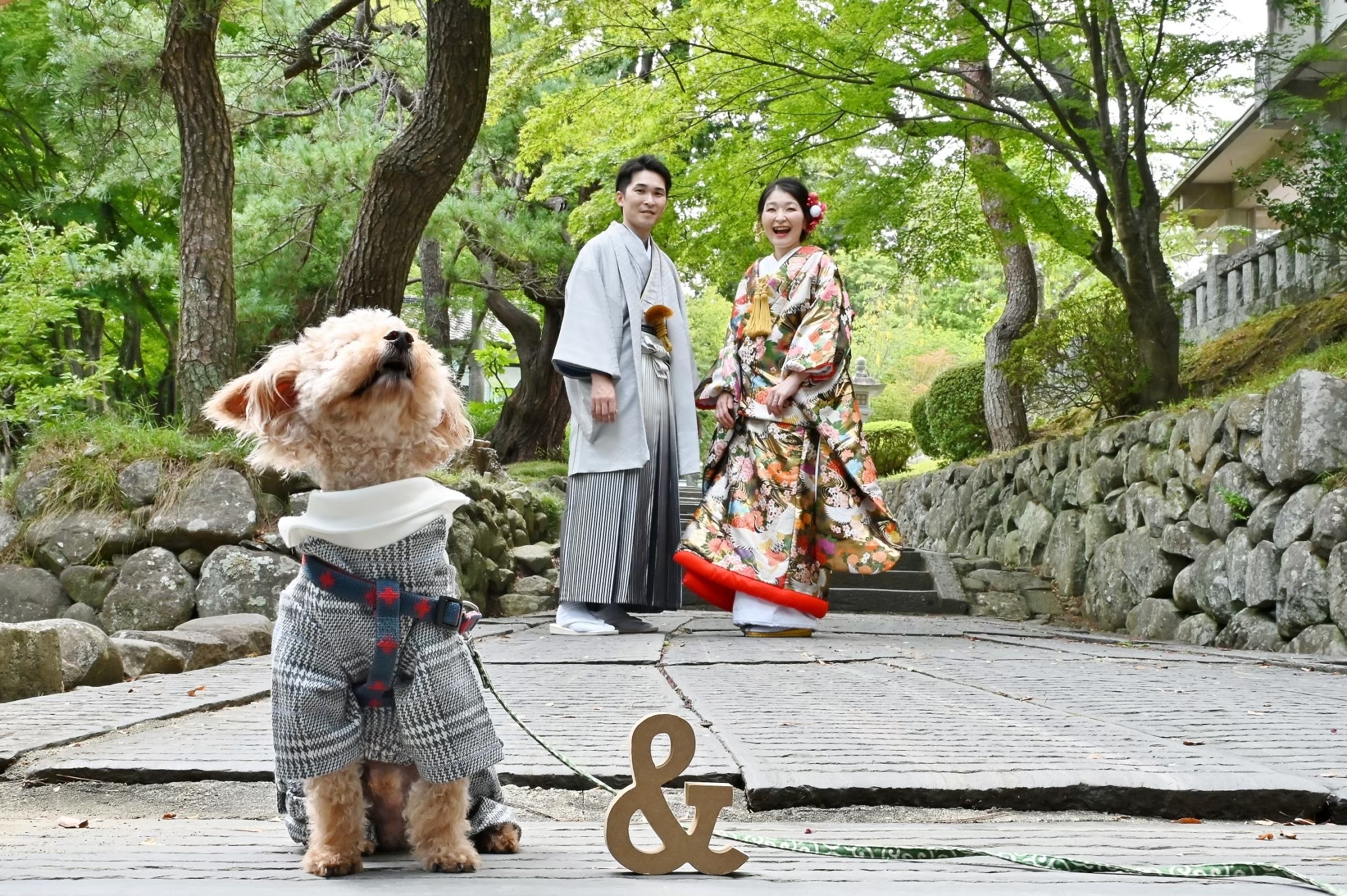 Point1 多彩な撮影シーン