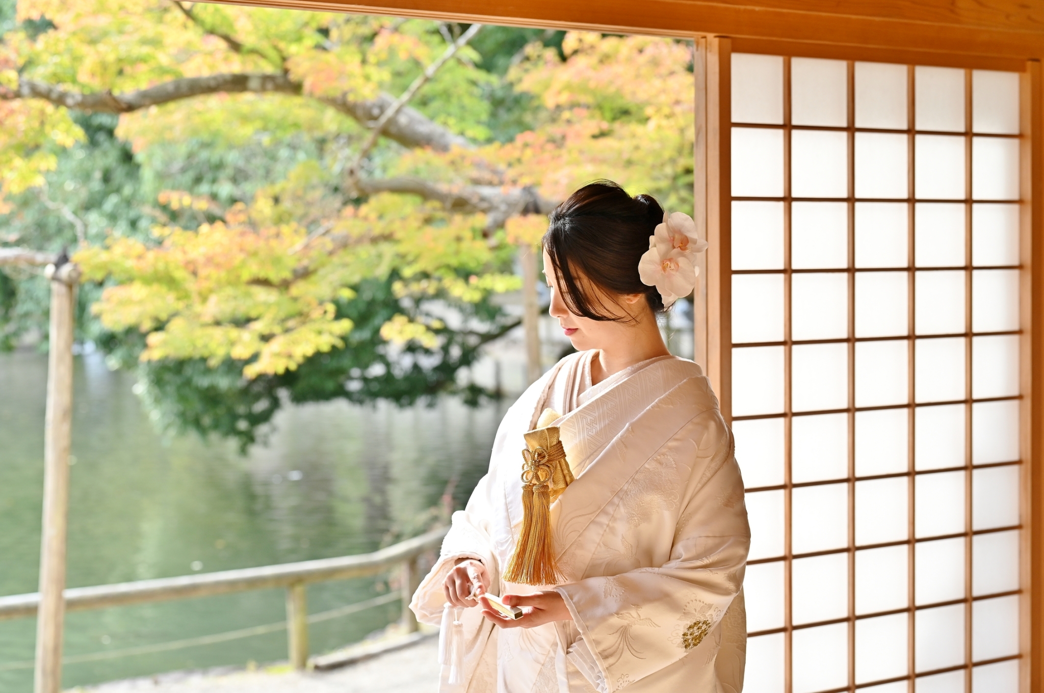 Point1 多彩な撮影シーン