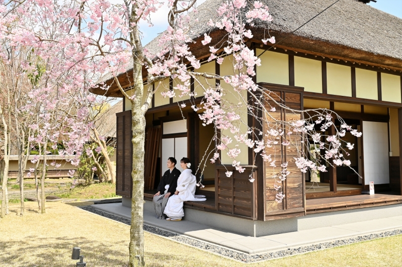 【追加料金なし宣言】登米市ロケーションプラン|和装1着、美容、データ、着付け込み