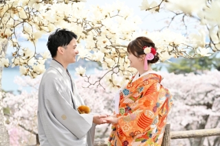 【まだ間に合う】桜ロケーションプラン｜和装2着｜衣装は追加なしで選び放題｜衣装、美容、データ、ロケ費用、着付け込み