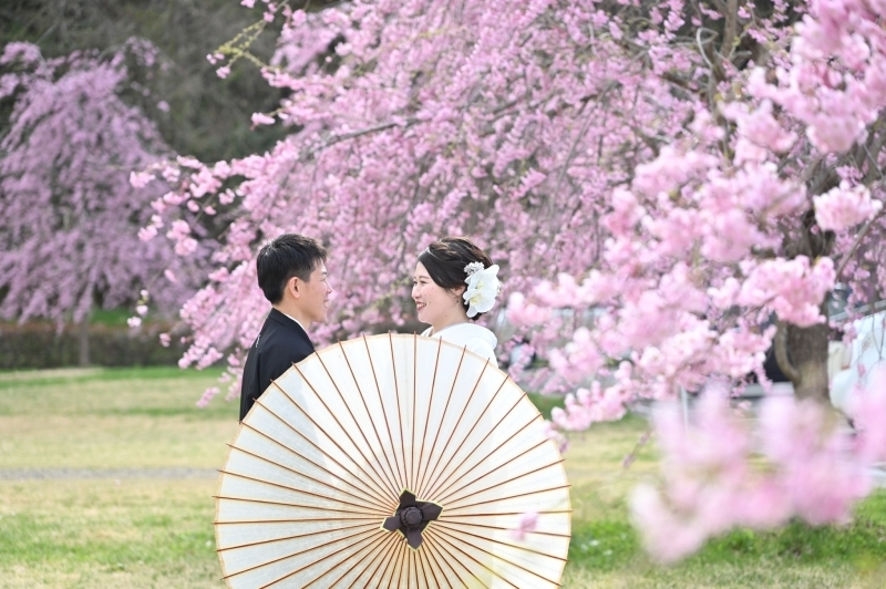 【まだ間に合う】桜ロケーションプラン|和装1着|衣装は追加なしで選び放題|衣装、美容、データ、ロケ費用、着付け込み