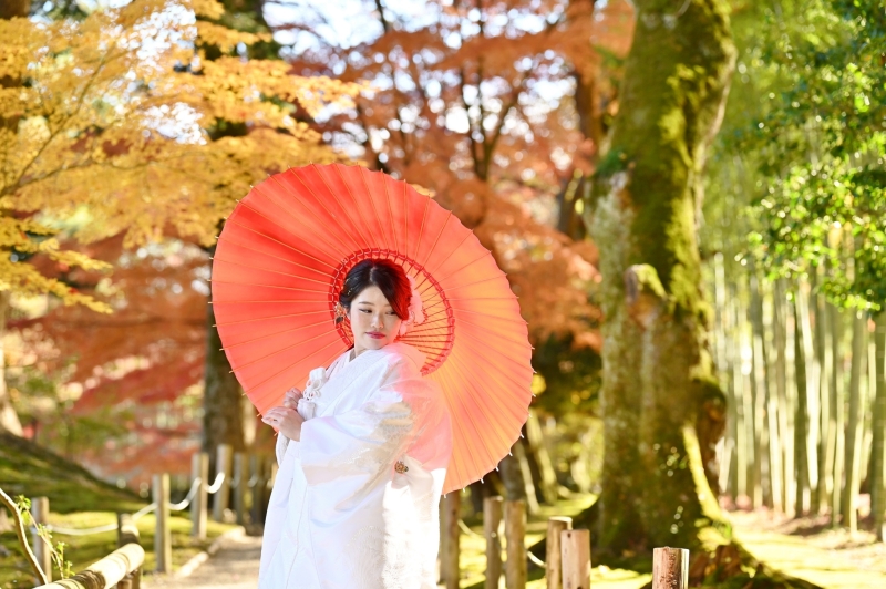 【まだ間に合う!紅葉限定プラン】和装2着+ロケーション1箇所(衣装、美容、データ、着付け込み)