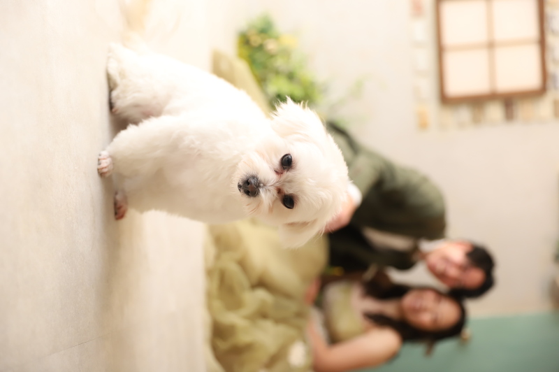 こんなショットも