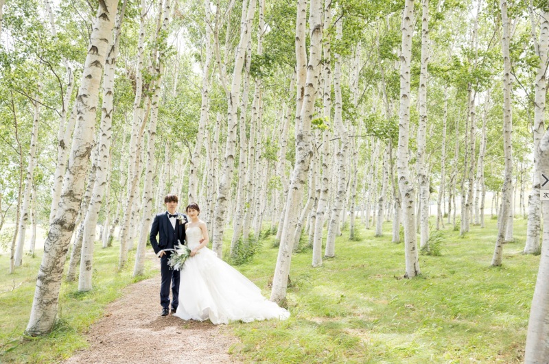 北海道らしい白樺の森で