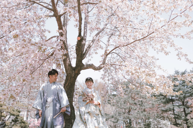 桜の下で撮影