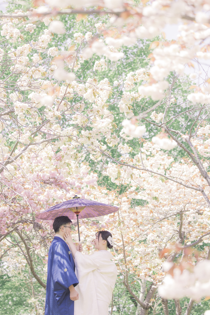 満開の桜