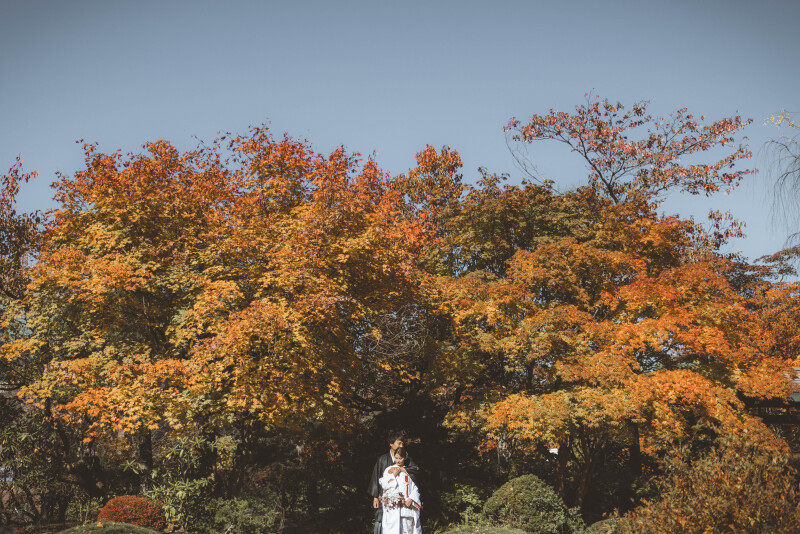 紅葉