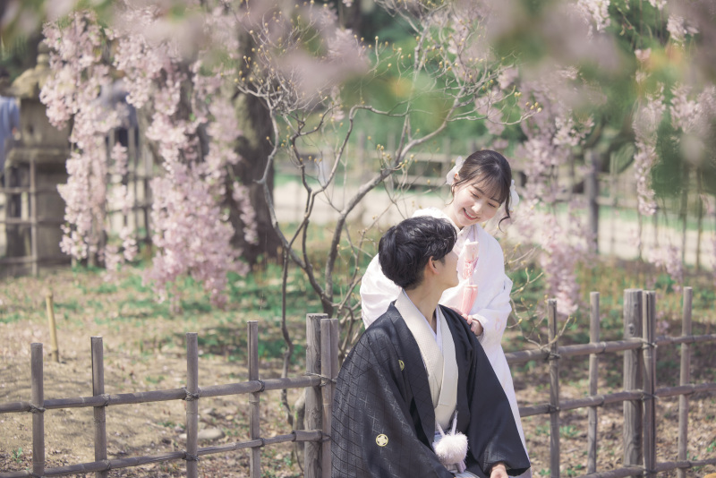桜×中島公園