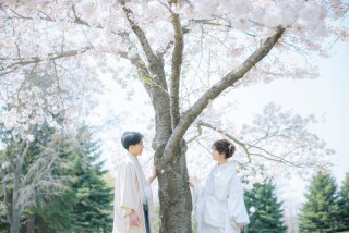 満開の桜と撮影していただいたおふたりをご紹介！