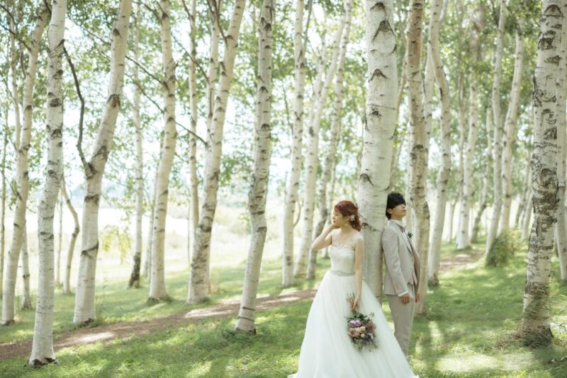 白樺に囲まれた大自然で