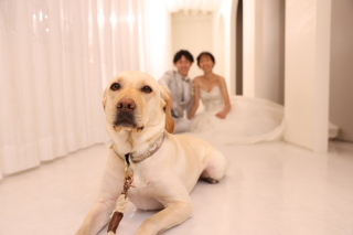 【1dayフォトプラン】愛犬との撮影をされたお二人のご紹介