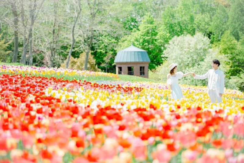 Palette札幌中央店(写真工房ぱれっと)