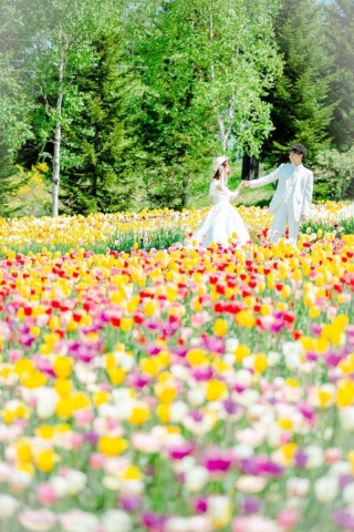 Palette札幌中央店(写真工房ぱれっと)