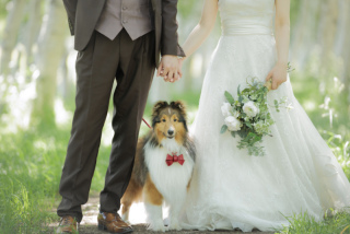 Palette札幌中央店(写真工房ぱれっと)