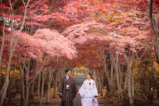 Palette札幌中央店(写真工房ぱれっと)