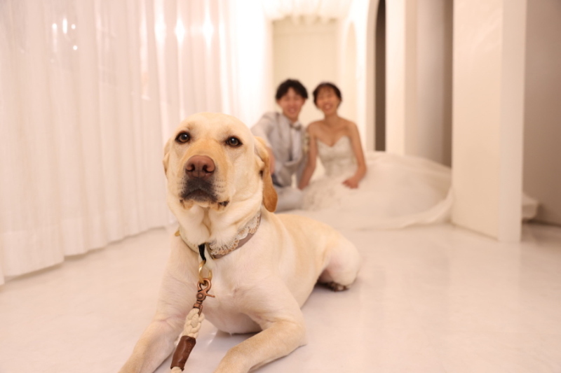 Palette札幌中央店(写真工房ぱれっと)_ペットと一緒に撮影できる