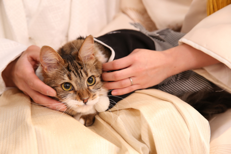 Palette札幌中央店(写真工房ぱれっと)_ペットと一緒に撮影できる