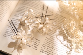 アクセサリーレンタル