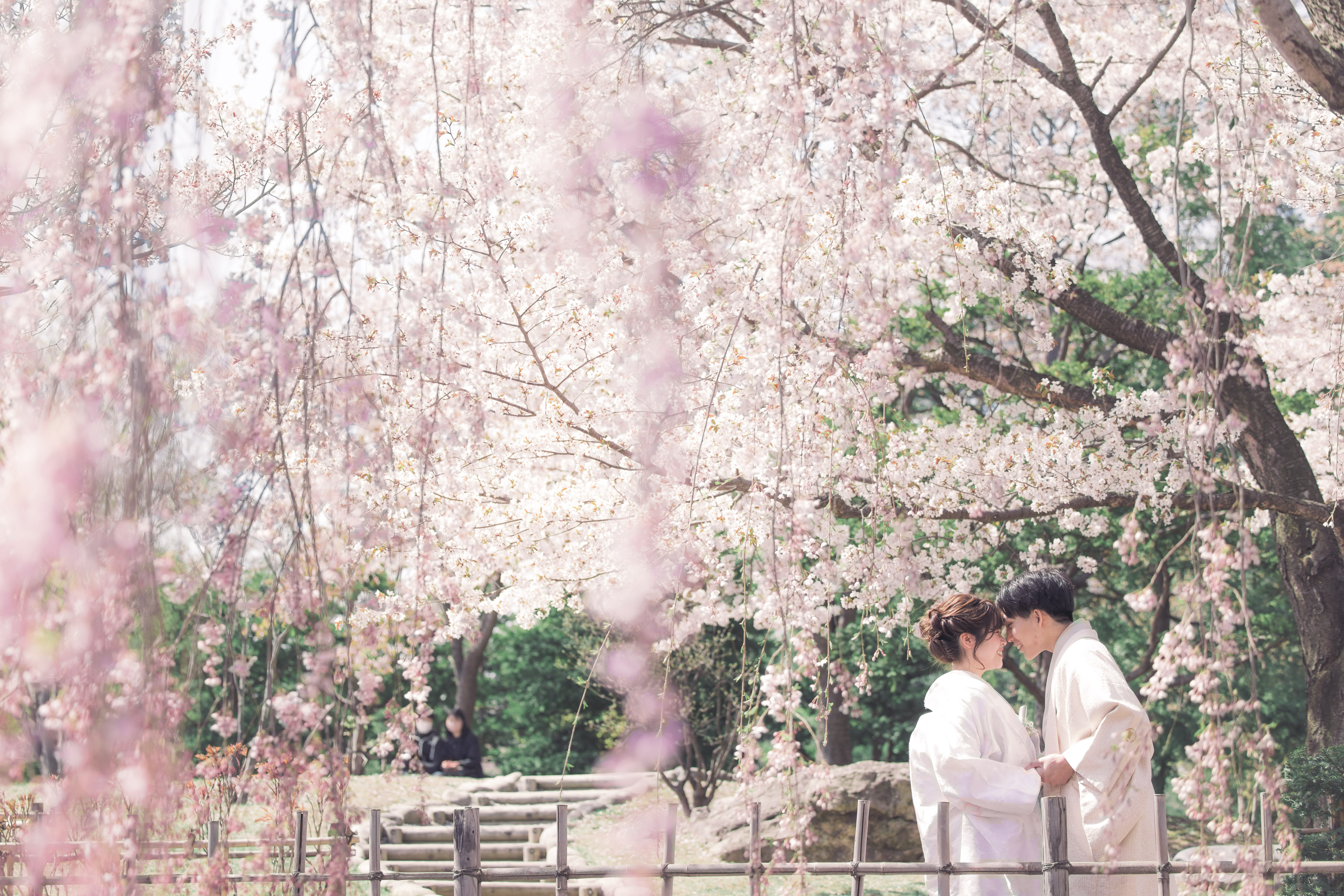 写真 人生最高の”今”を、美しく