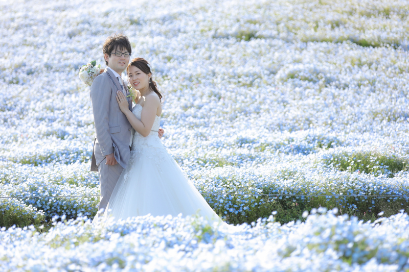 海の中道 ネモフィラ撮影