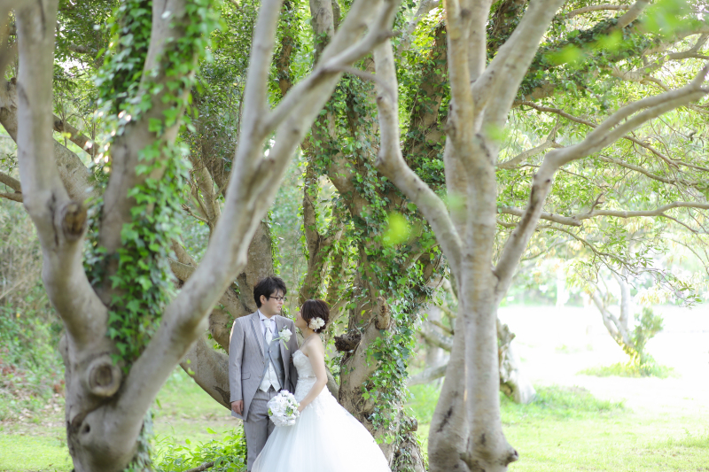 幻想的な森の撮影