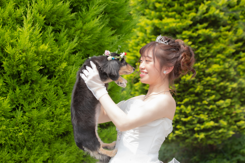 新婦様　ご希望の！！