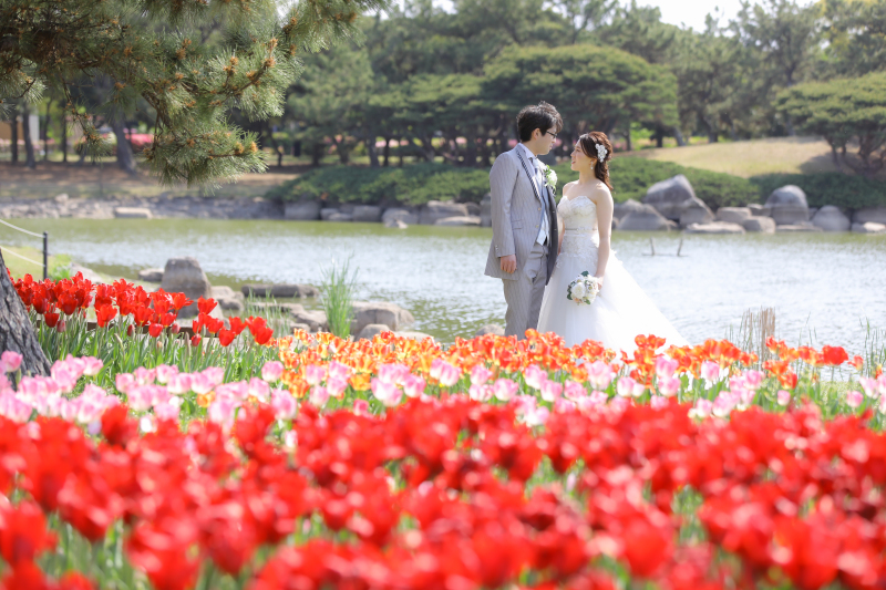 海の中道 海浜公園 チューリップ撮影