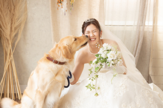 リンドマールフォトスタジオ　北九州 黒崎本店