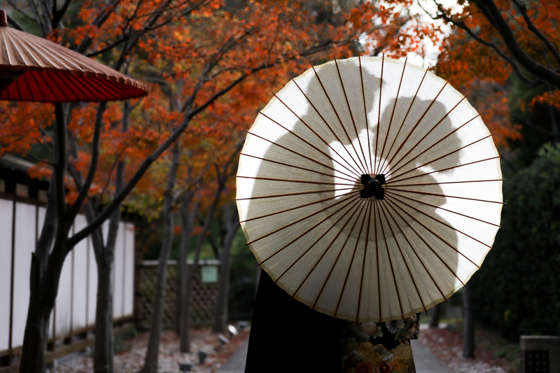 リンドマールフォトスタジオ 北九州 黒崎本店_色打掛・着物が豊富