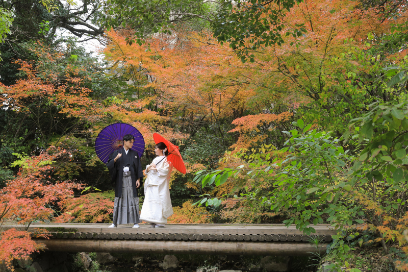 秋の紅葉シーズンに温かみのある景色の撮影を