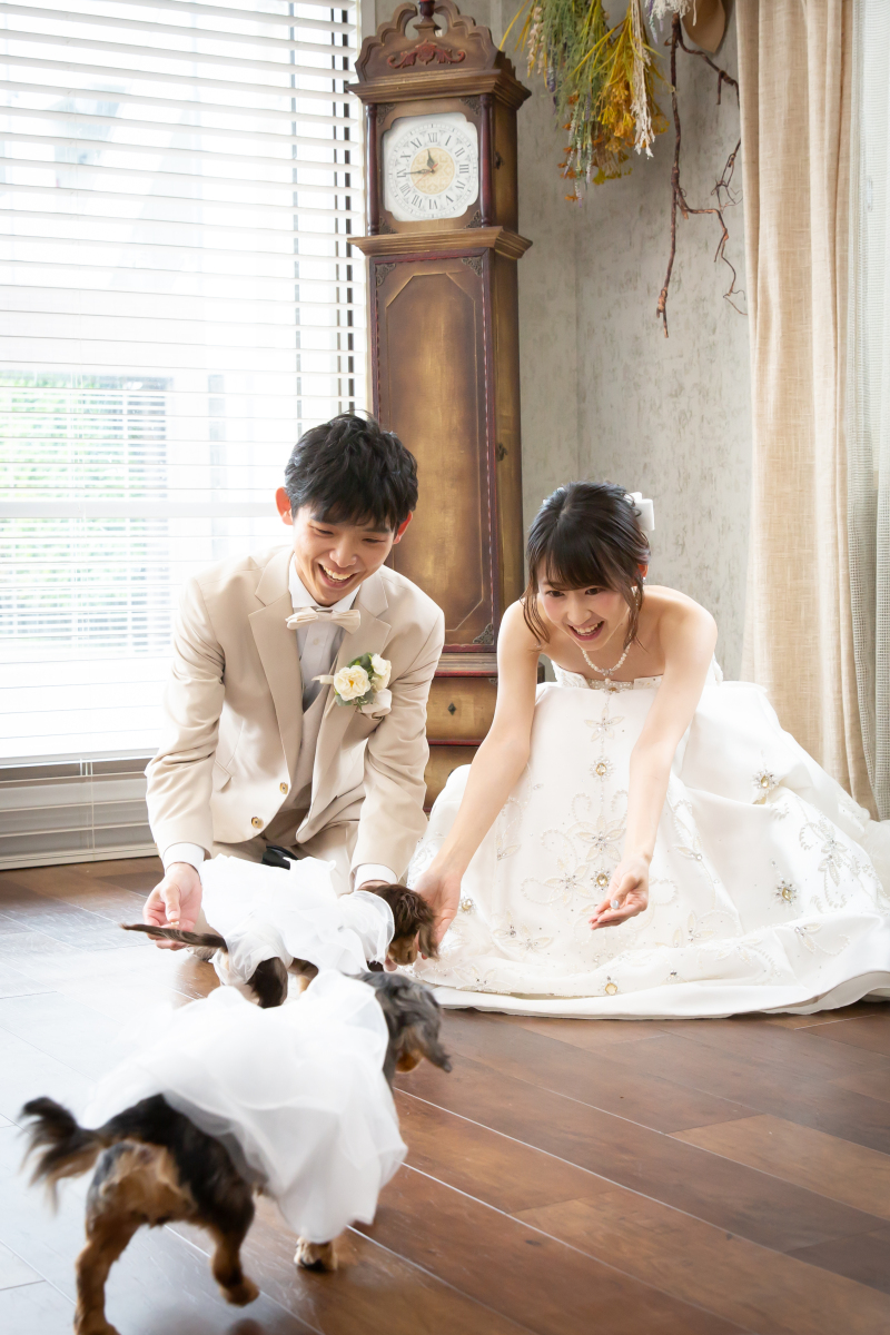 リンドマールフォトスタジオ 北九州 黒崎本店_ペットと一緒に撮影できる