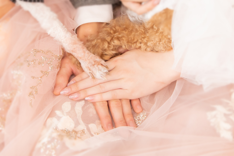 ドレス・和装でも抱っこOK!