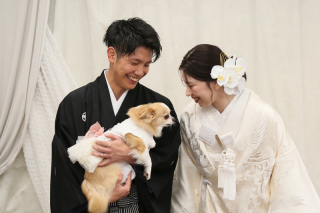 【6,7月撮影限定】ペットプラン|和装1点|抱っこ撮影OK|衣装、ヘアメイク、データ付き|衣装UPグレード、土日UP料が無料!