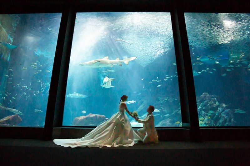 『ロケーションPhotoプラン』◆洋装1点◆ロケーション&スタジオ撮影♪撮影データ100カット付き