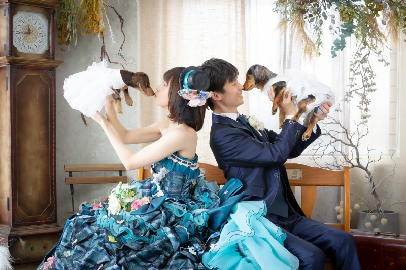 『ペットと撮影プラン』◆洋装1点◆抱っこ撮影OK!衣装、ヘアメイク、データ付き