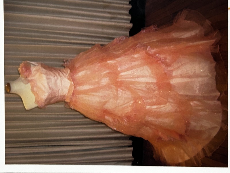 CD-019