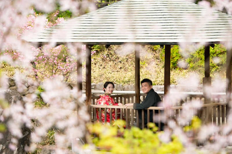 桜の向こうに…