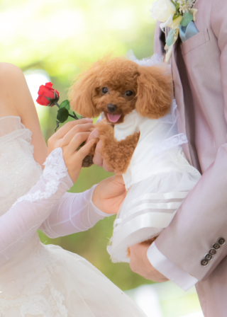 わんちゃんも主役の1日♪