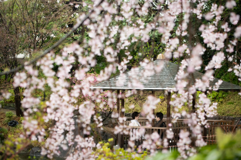 枝垂れ桜の庭園！