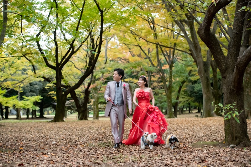 愛犬と家族との撮影を叶えた１日♪